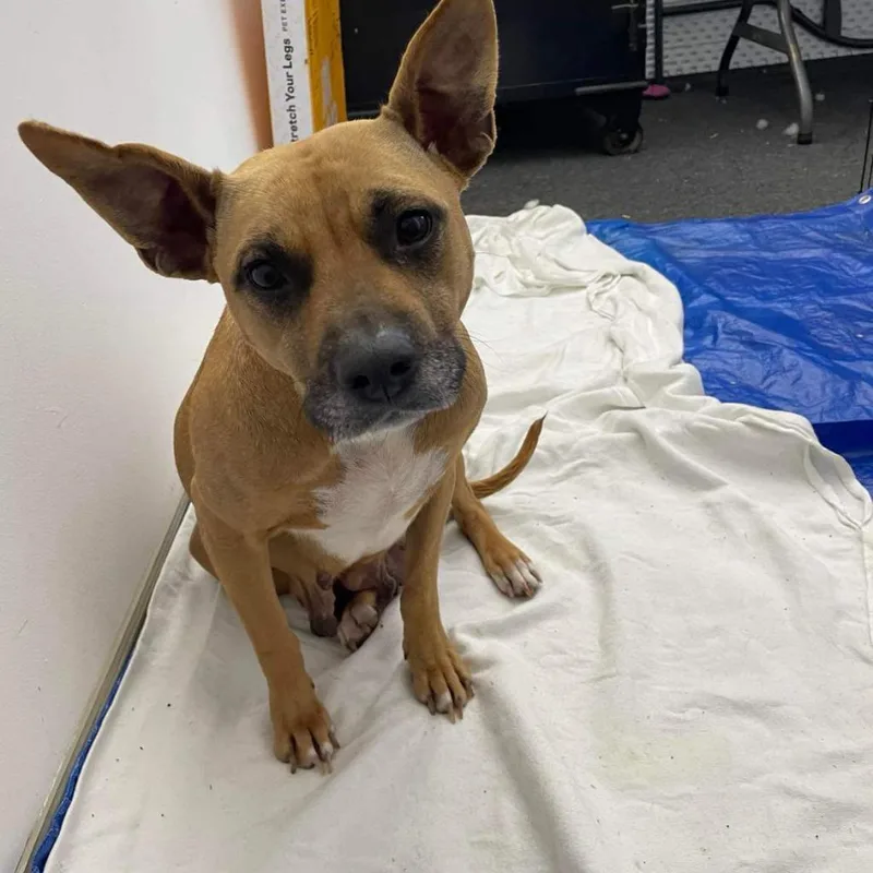 Givenchy thumbnail 6