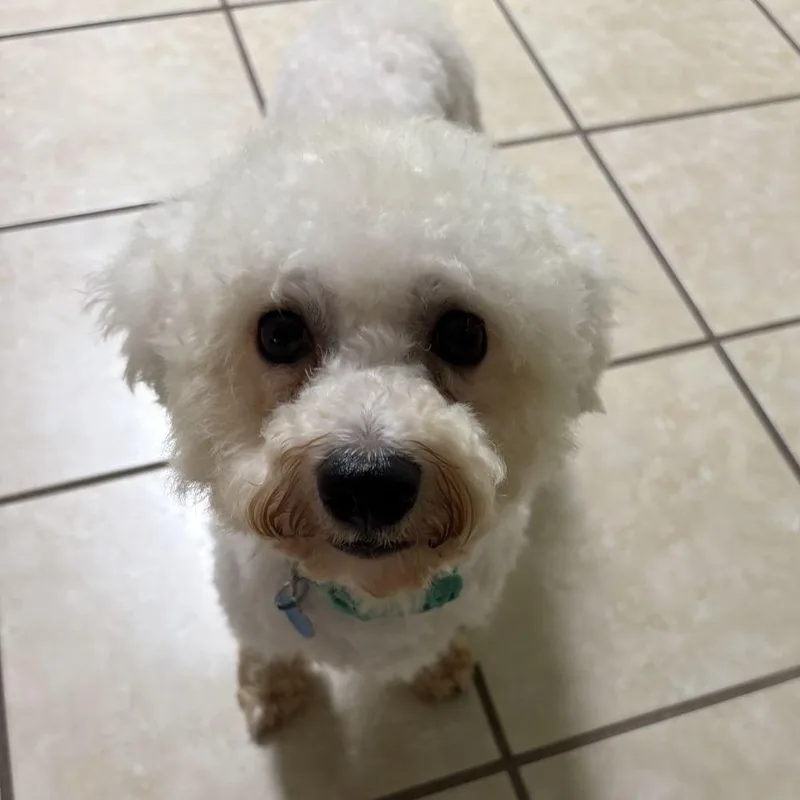 Qtip thumbnail 2