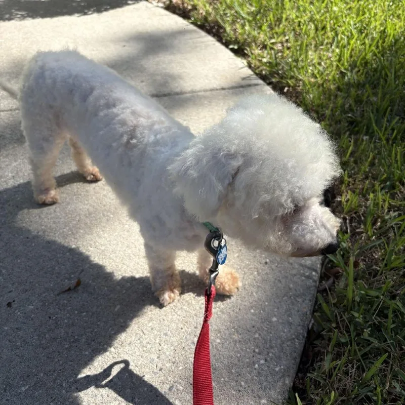 Qtip thumbnail 5
