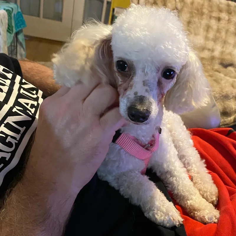 Peaches thumbnail 2