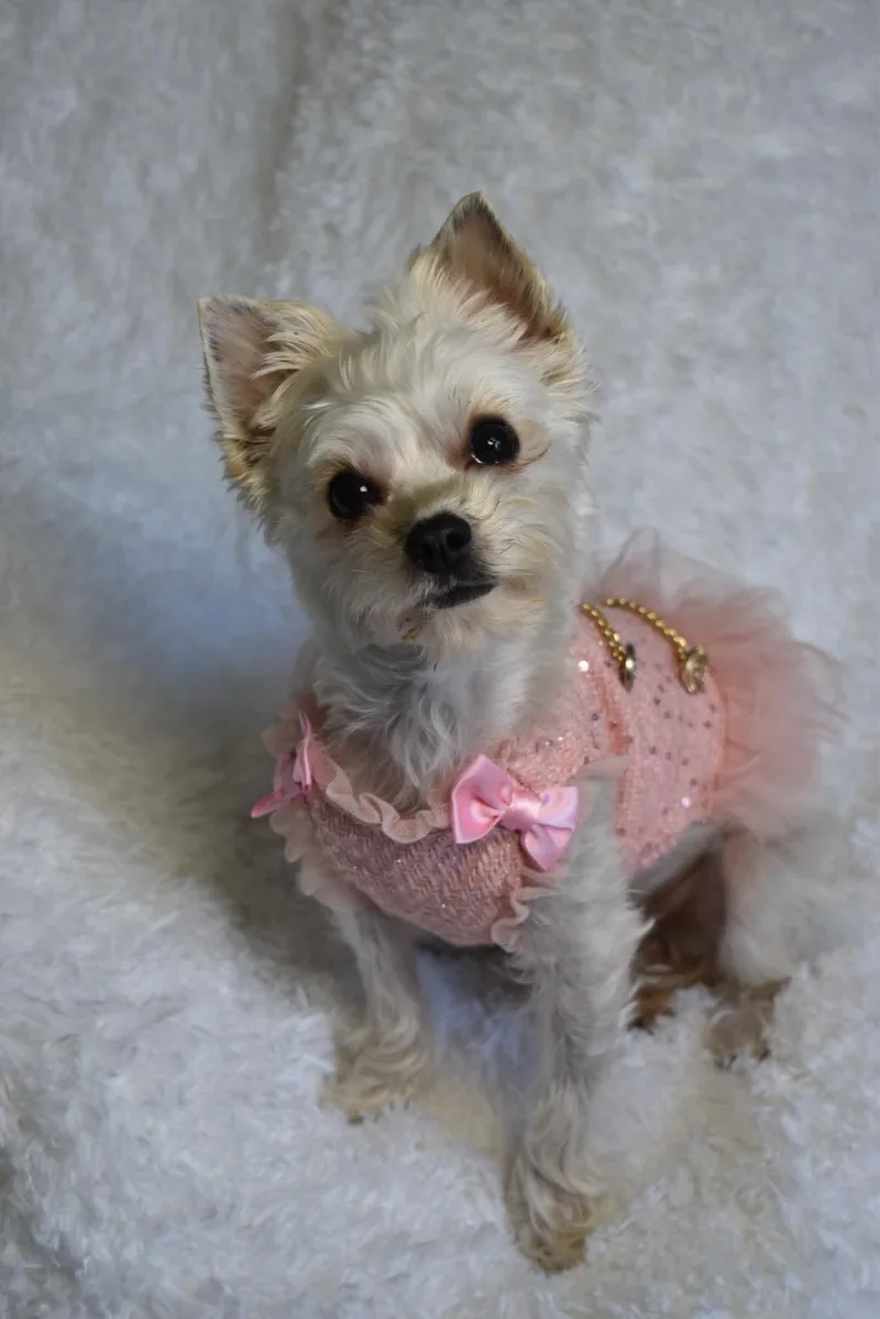 Millie thumbnail 3