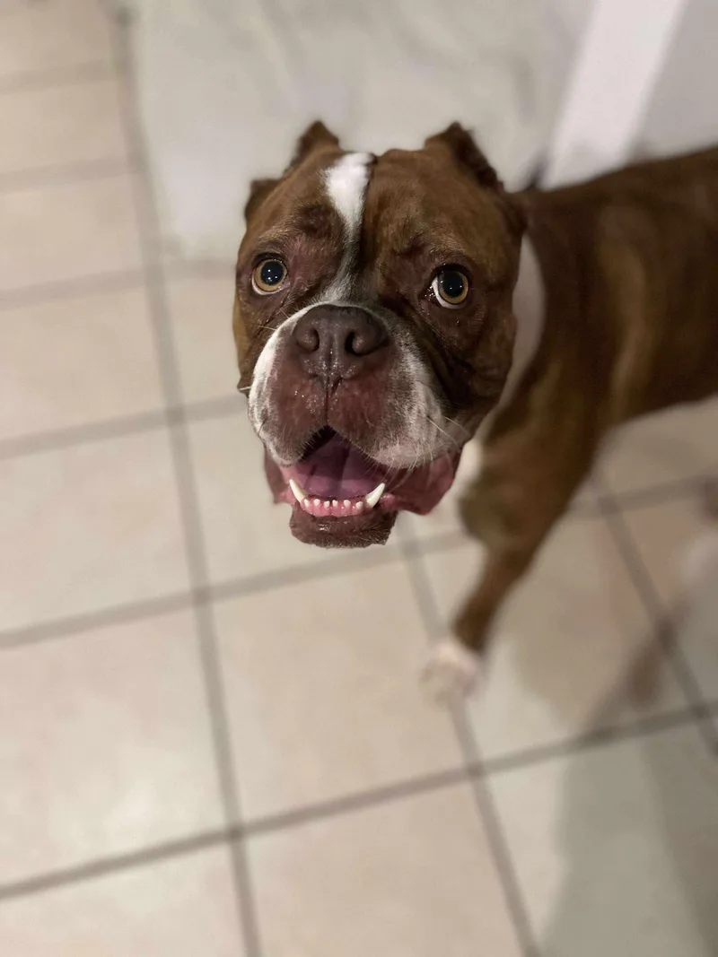 Brunhilda thumbnail 3