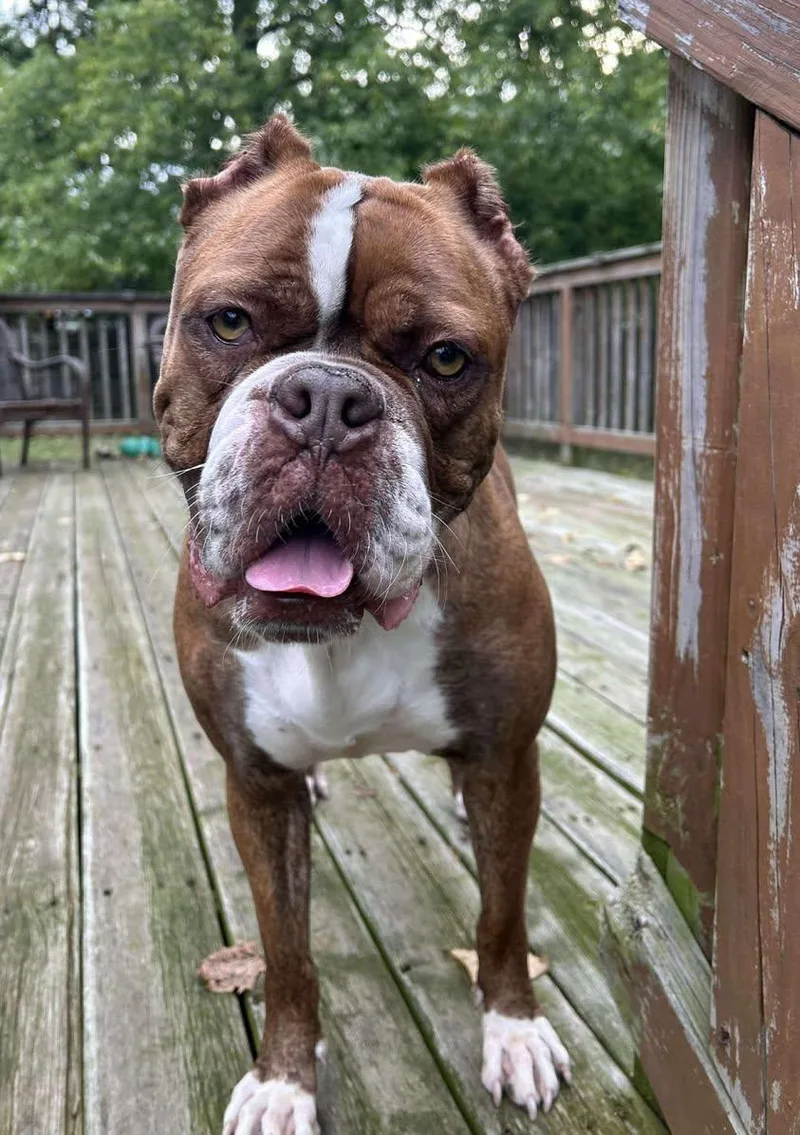 Brunhilda thumbnail 5