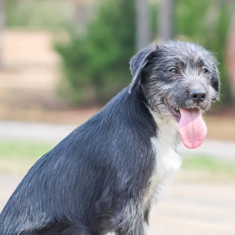 Hemingway thumbnail 2