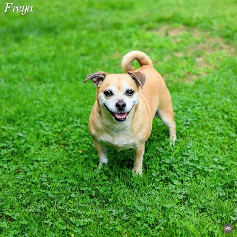 Freya thumbnail 2