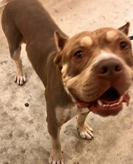 Frank