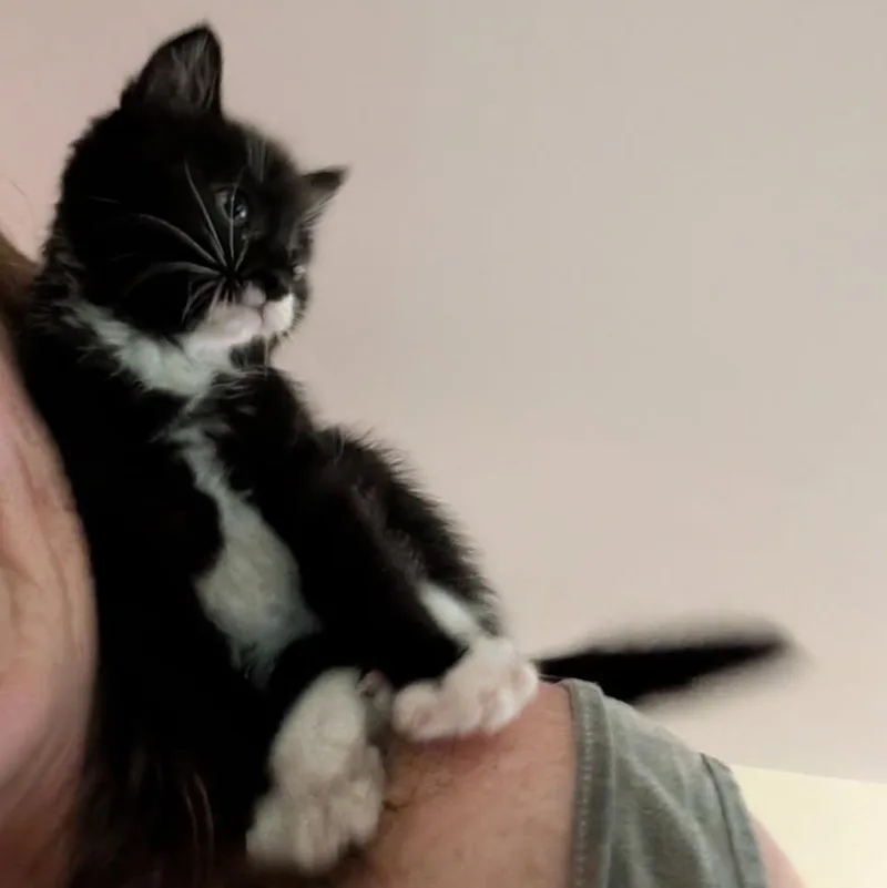 Pinky Tuscadero thumbnail 2