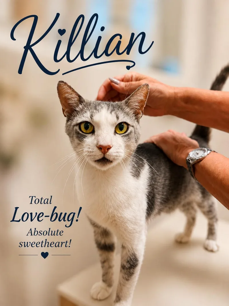 KillianWillow Grove