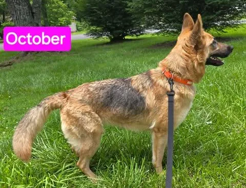 October thumbnail 2