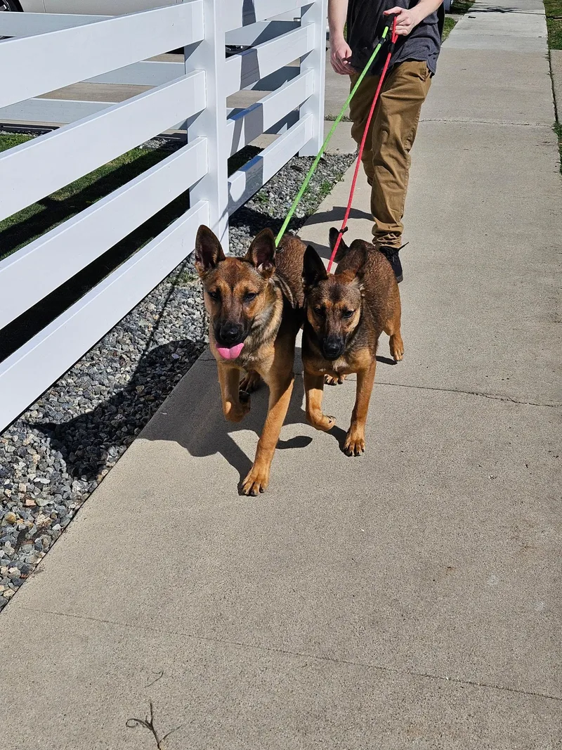 Live From Ny! It's thumbnail 3