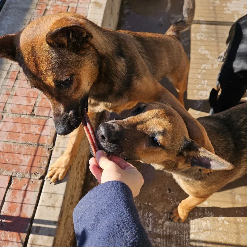 Live From Ny! It's thumbnail 5