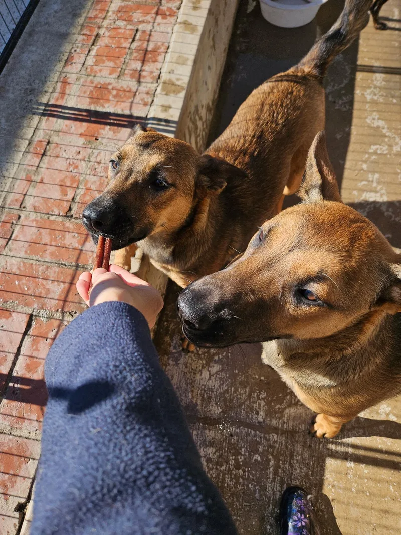 Live From Ny! It's thumbnail 6