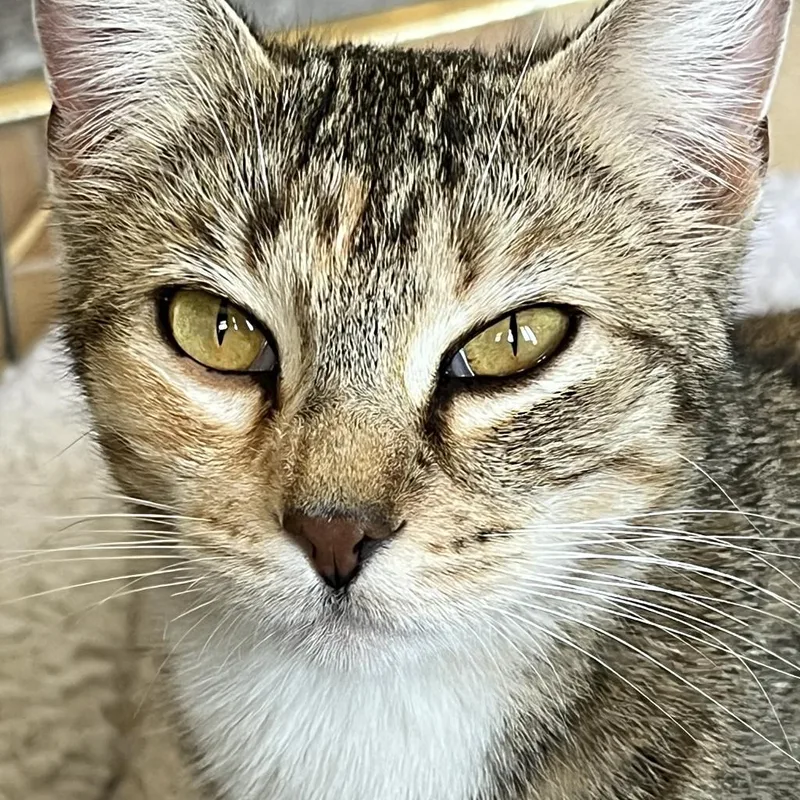 Luna Beth thumbnail 2