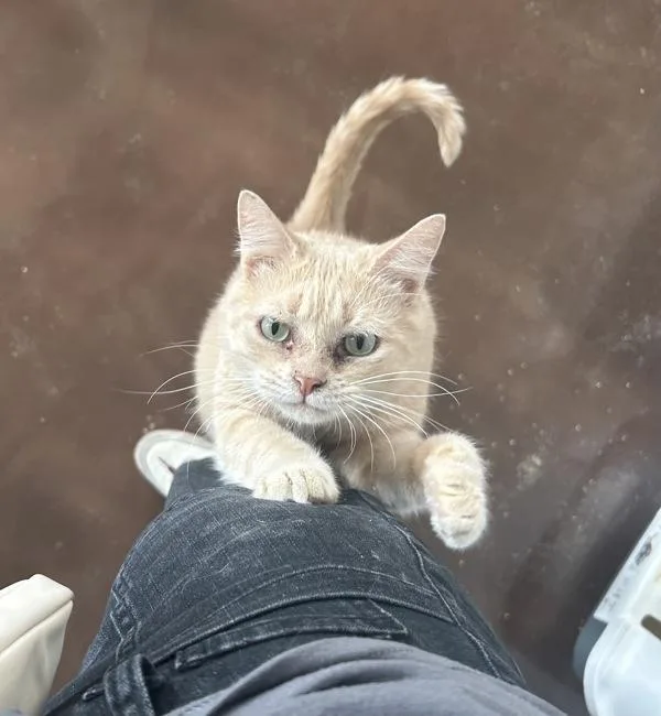 Kiki