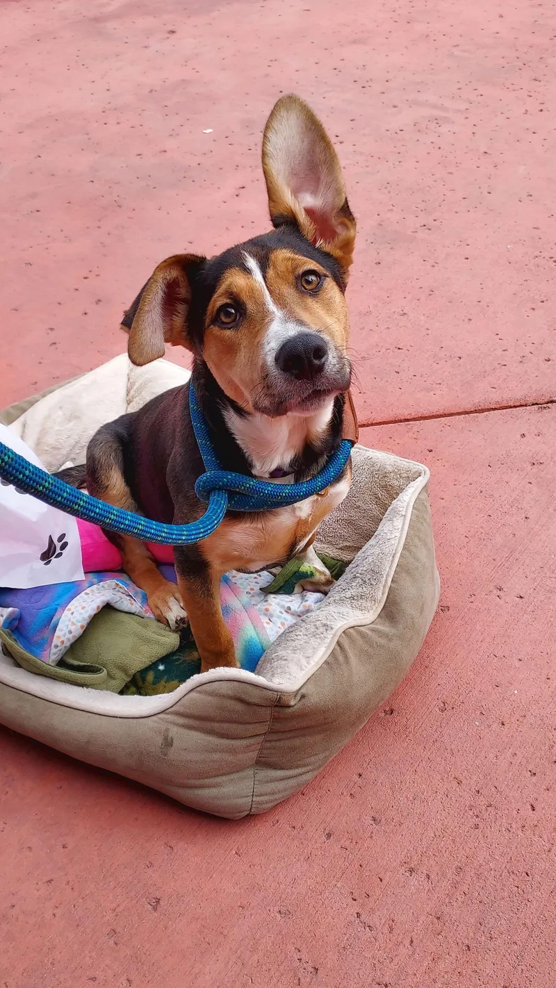 Mr .melvin thumbnail 2