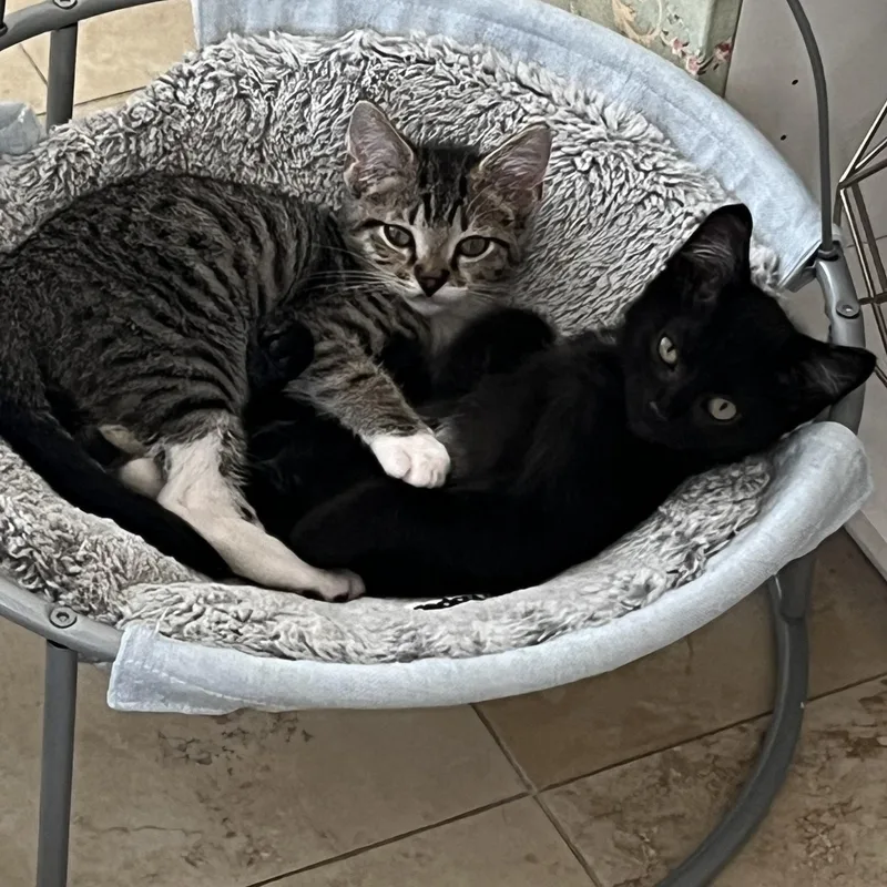 Ace And Terry thumbnail 3