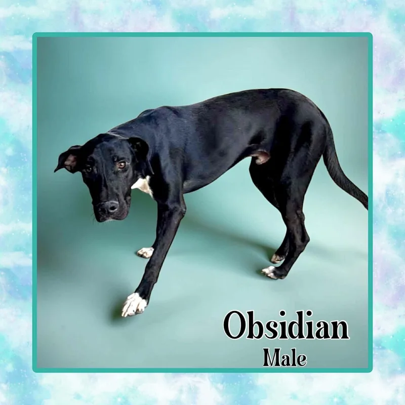 Obsidian thumbnail 4