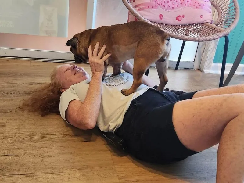 Arnold thumbnail 3