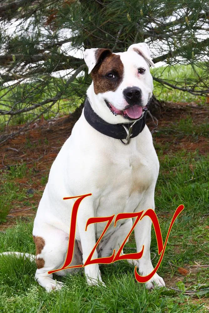 Izzy thumbnail 4