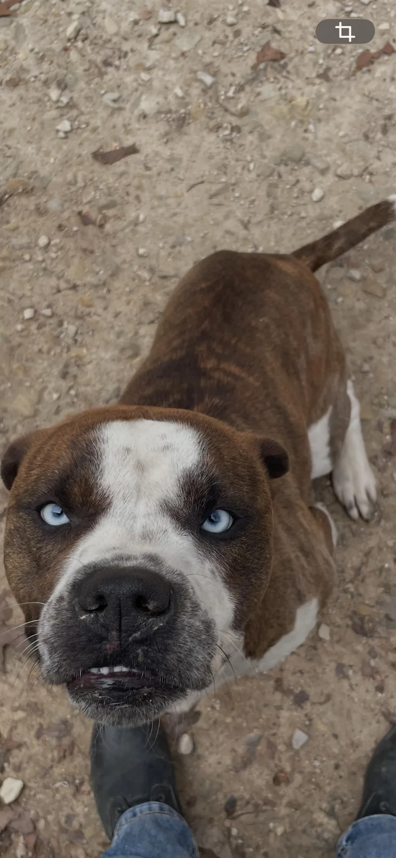 Axel