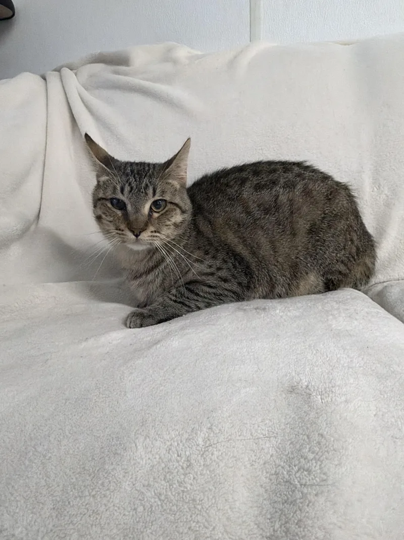 Axel thumbnail 3