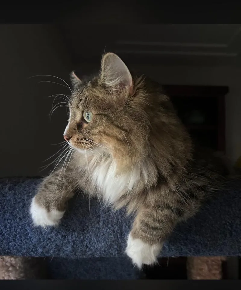 Eleanor