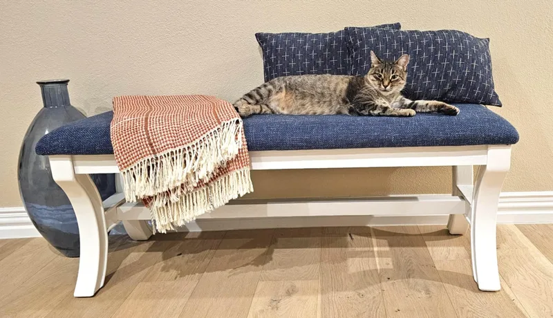 Dolly Parton thumbnail 6