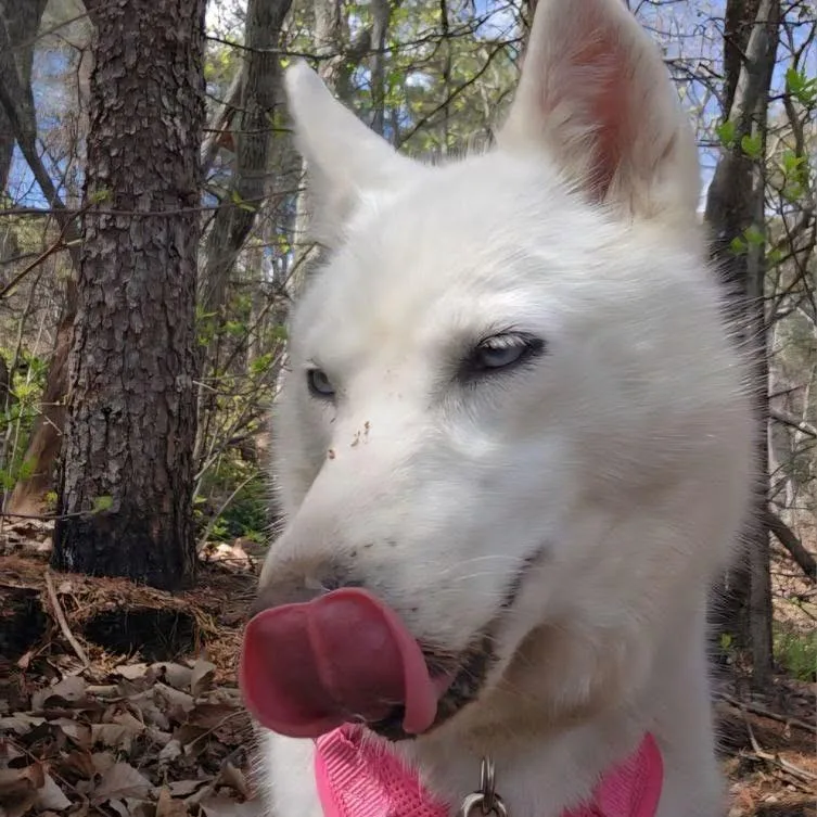 LuLu thumbnail 3