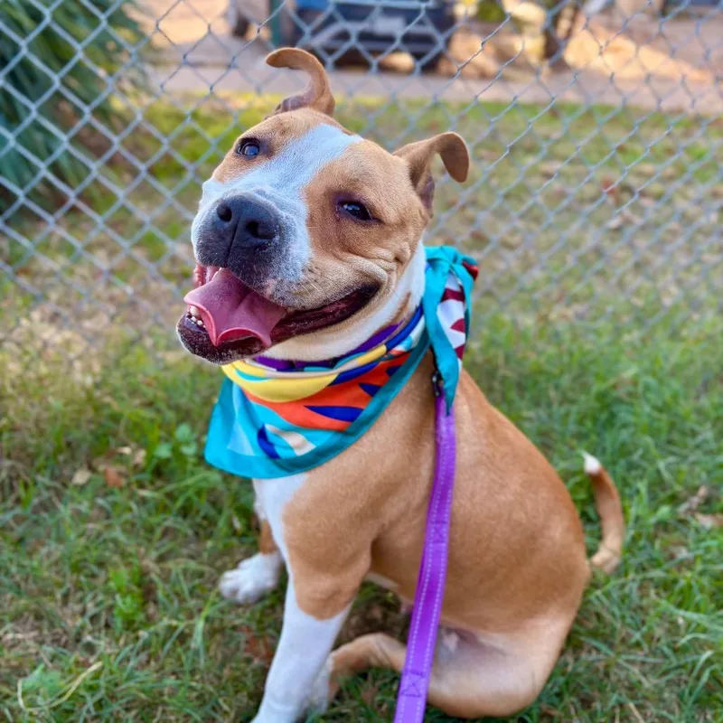 House Party thumbnail 2