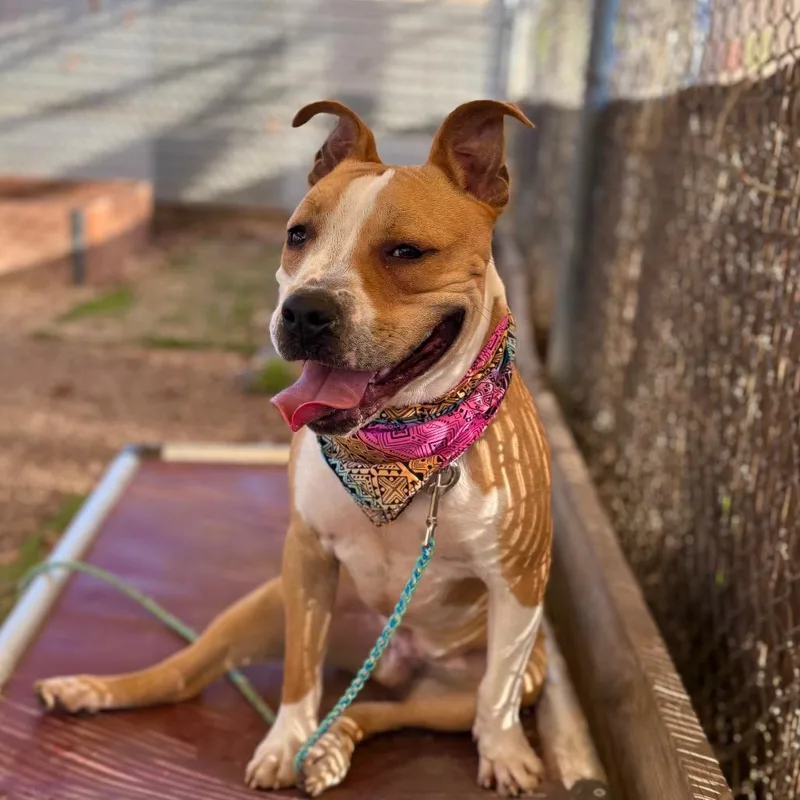 House Party thumbnail 3