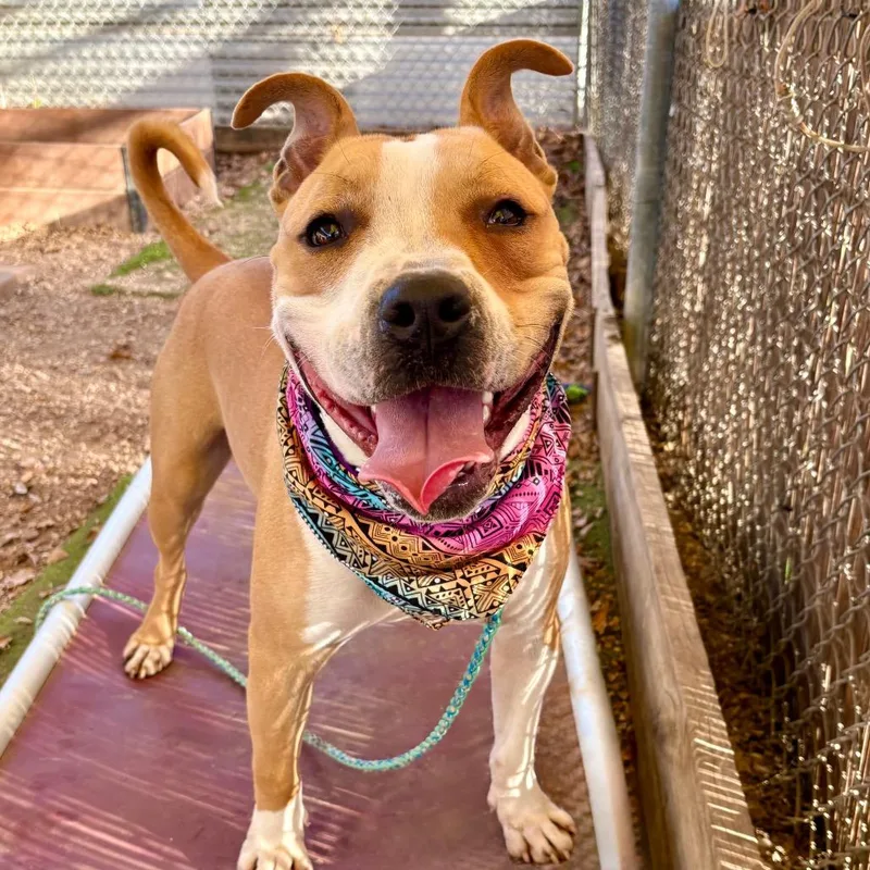 House Party thumbnail 4