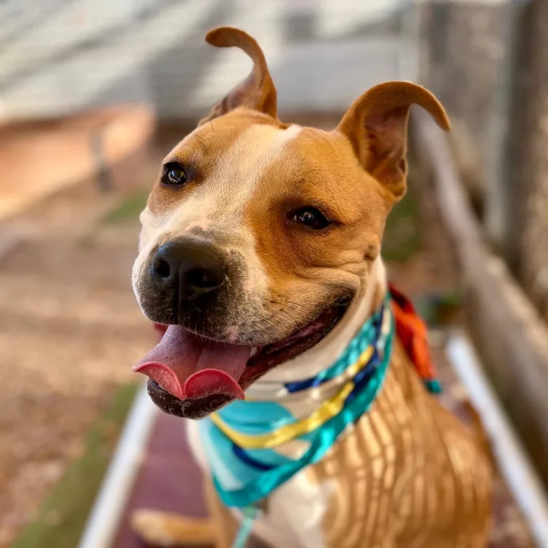 House Party thumbnail 5