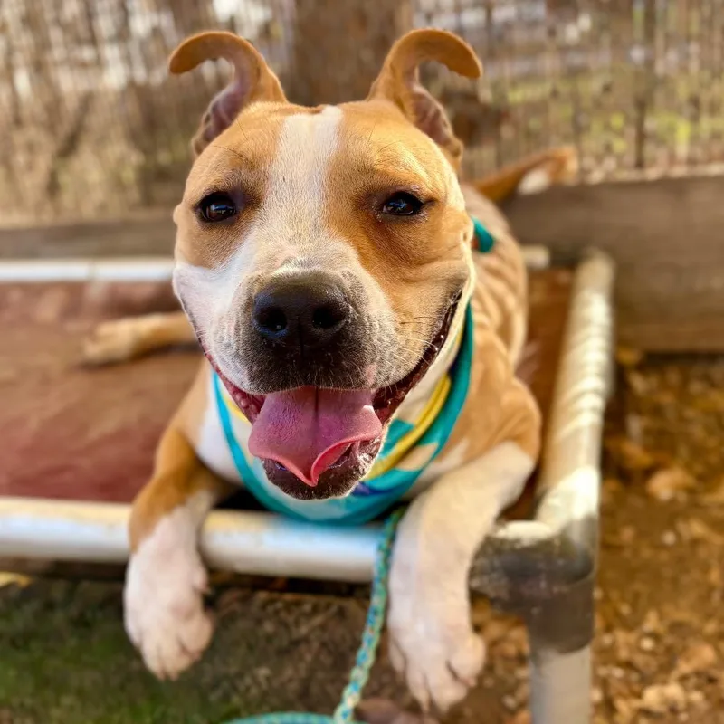 House Party thumbnail 6