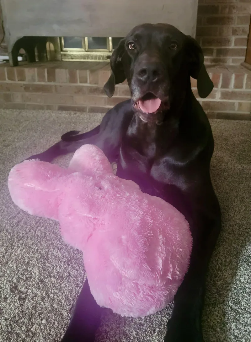 Hazel Grace thumbnail 2