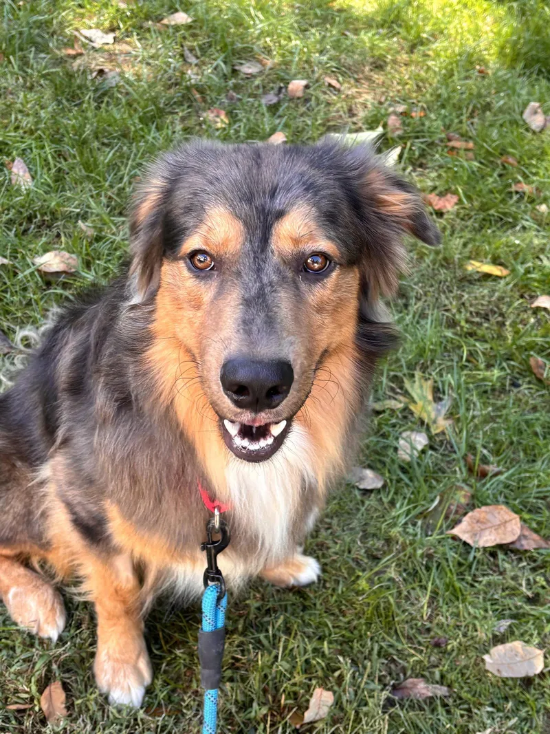 Loki thumbnail 2