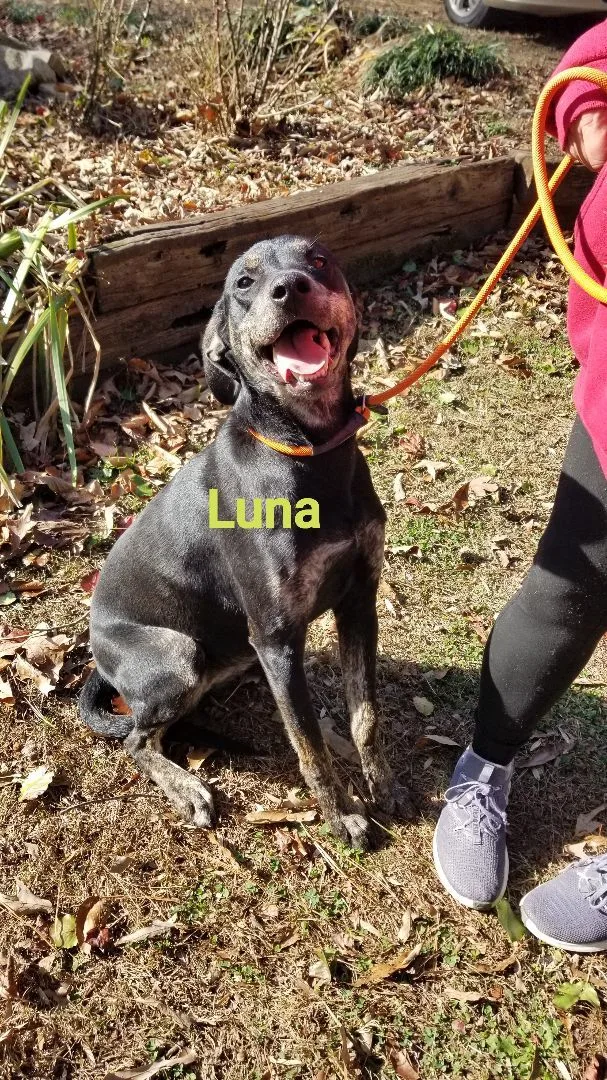 Luna