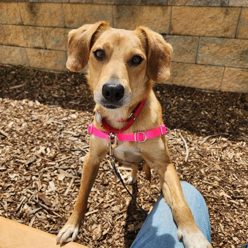 Willie Mae thumbnail 2