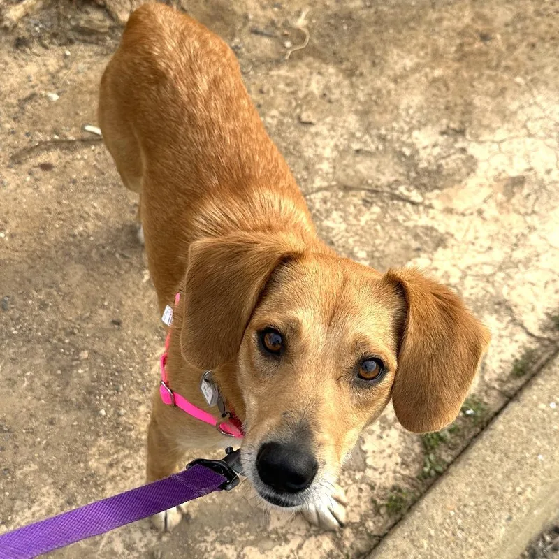 Willie Mae thumbnail 3