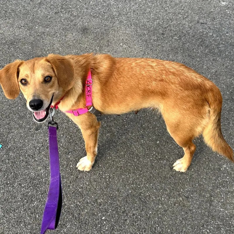 Willie Mae thumbnail 4