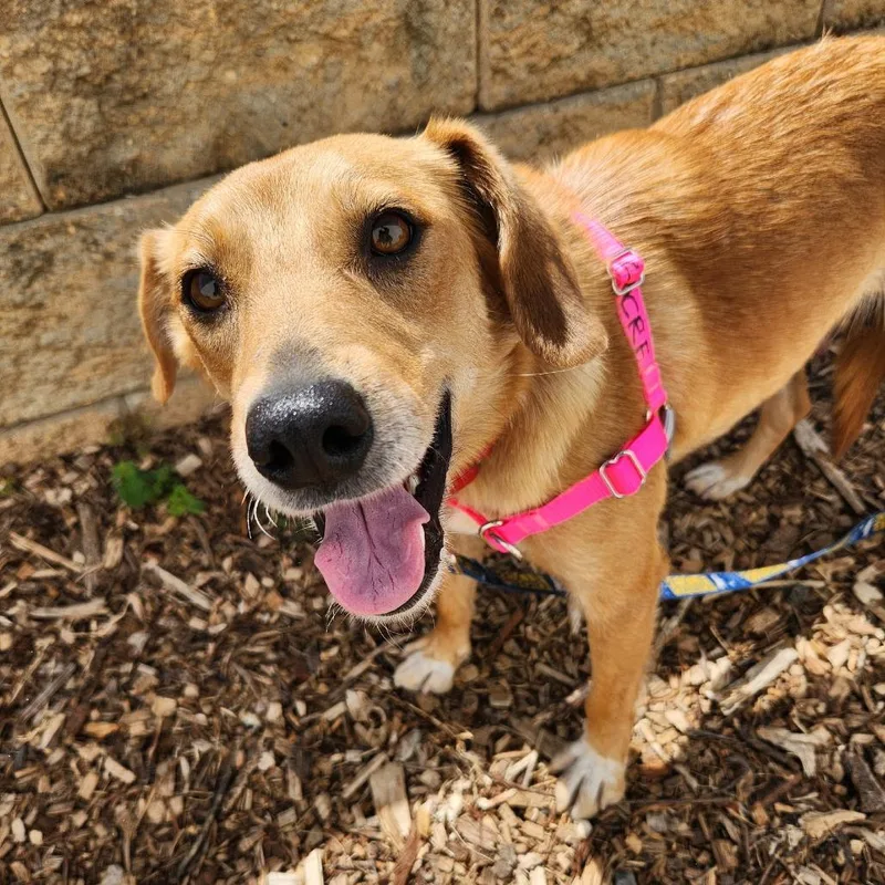 Willie Mae thumbnail 5