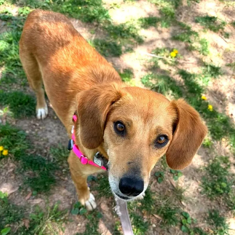 Willie Mae thumbnail 6