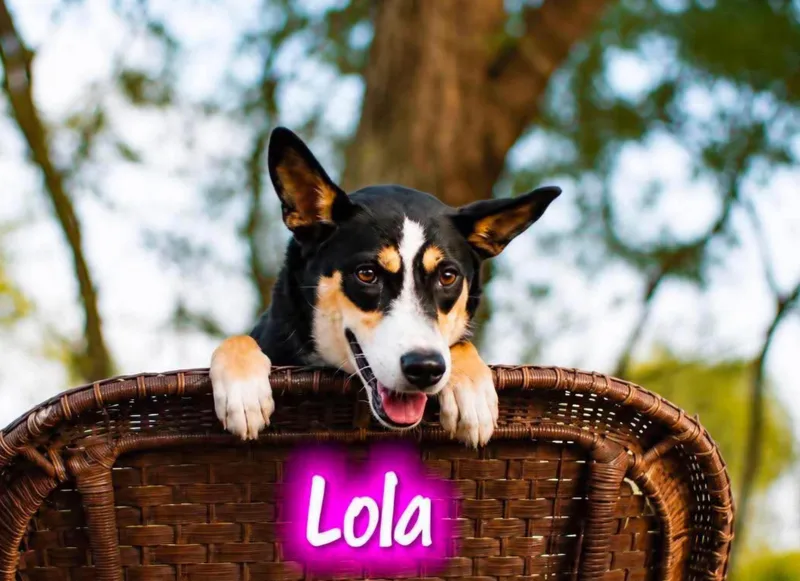 Lola thumbnail 5