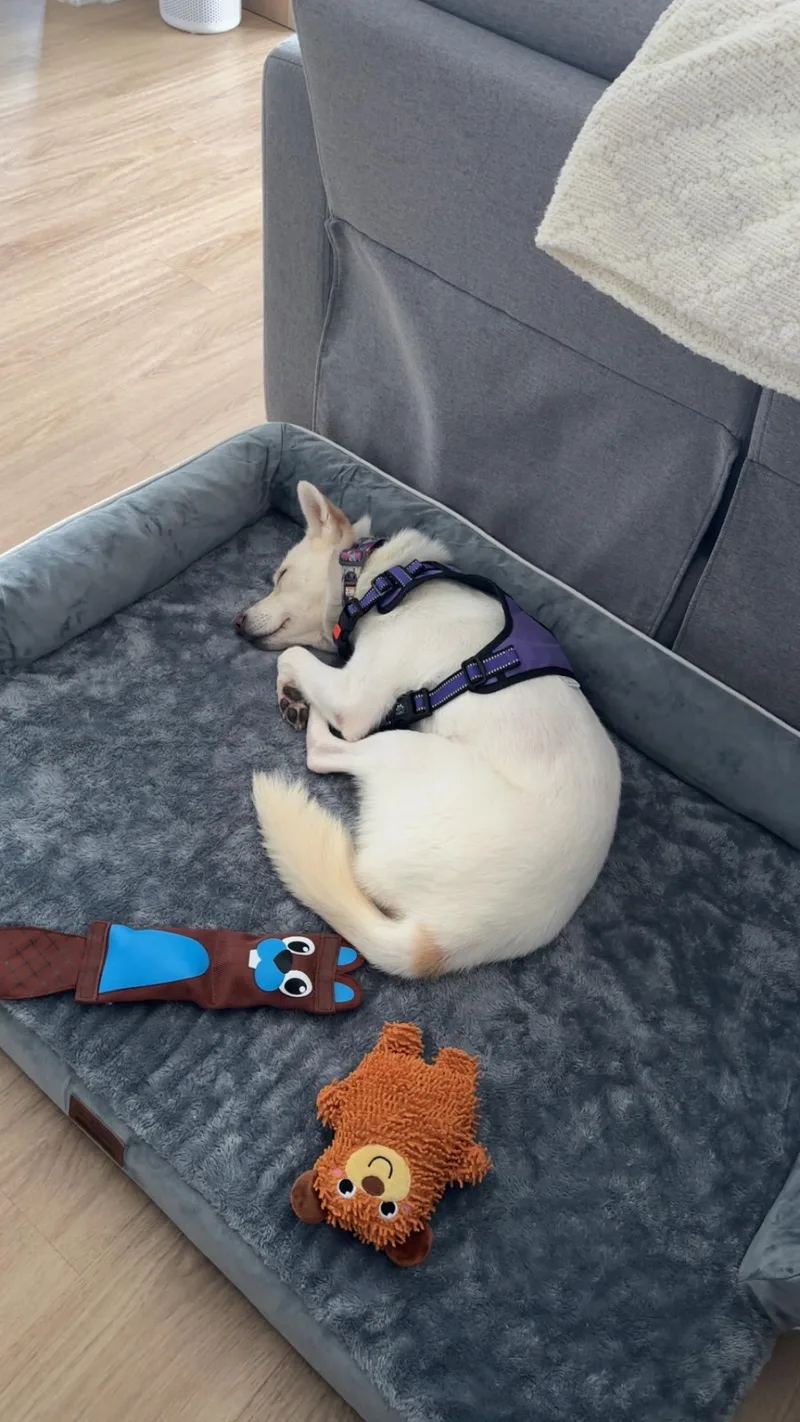 Mimi thumbnail 3
