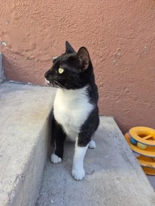 Milkyway thumbnail 6