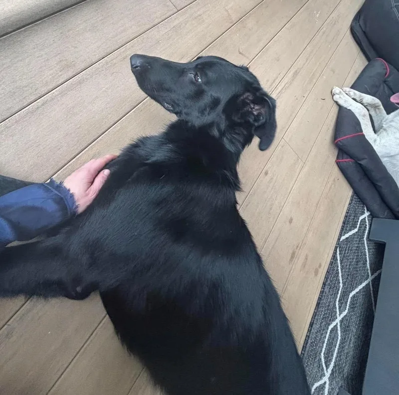 Benny