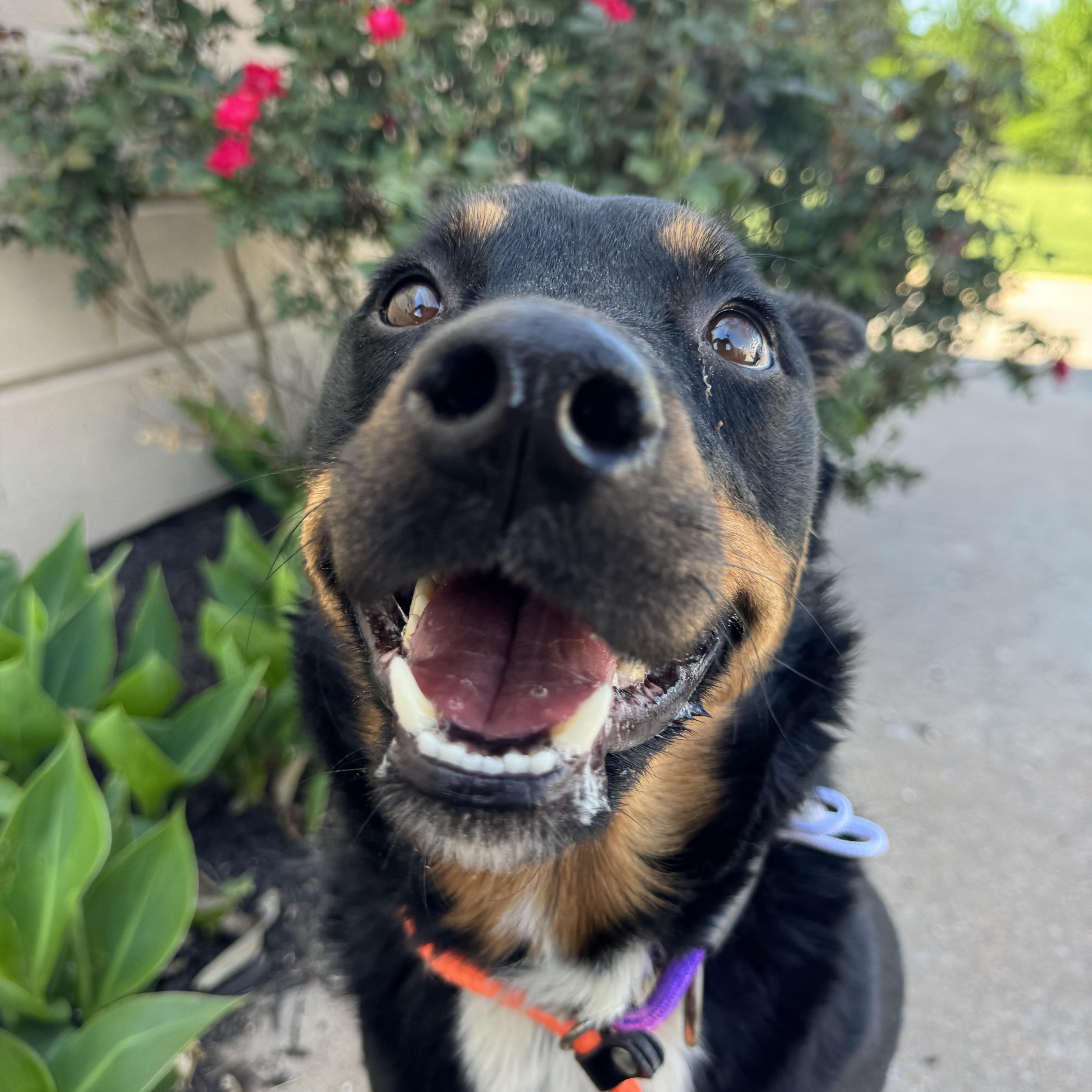 Precious thumbnail 2