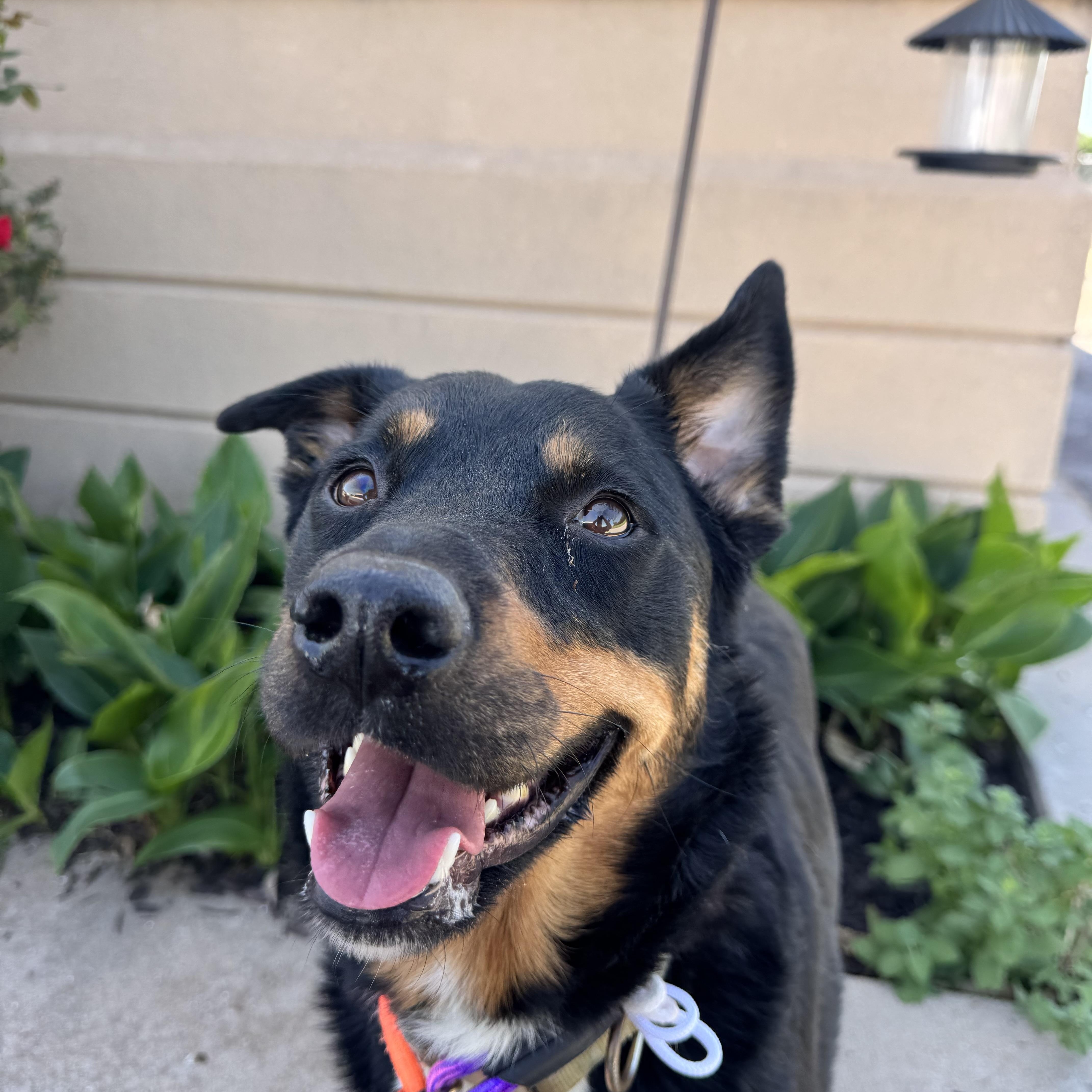 Precious thumbnail 3