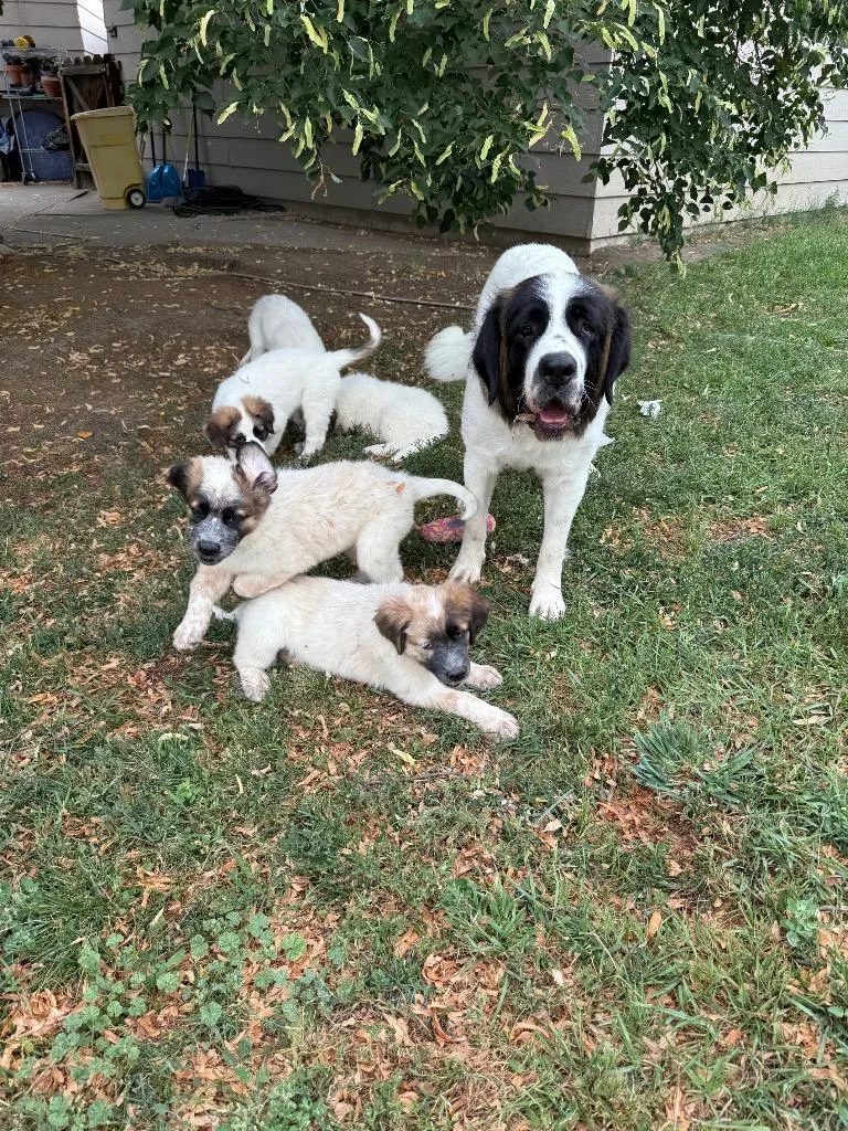 Strawberry Lemonade thumbnail 2