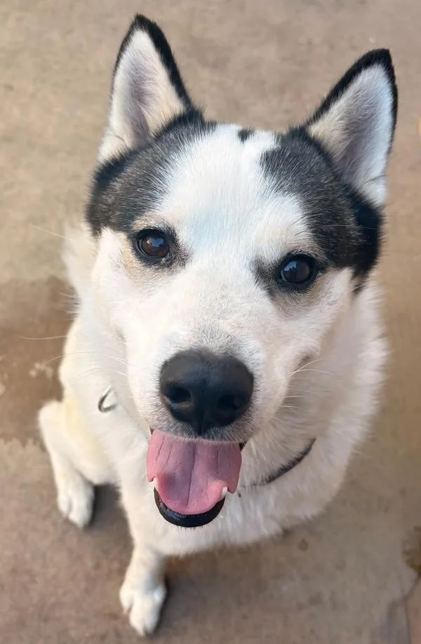 Mcdonald thumbnail 2