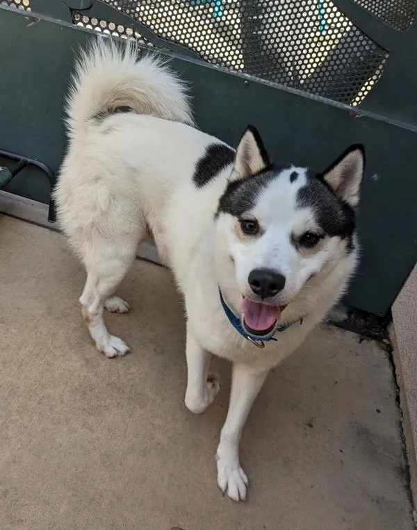 Mcdonald thumbnail 3